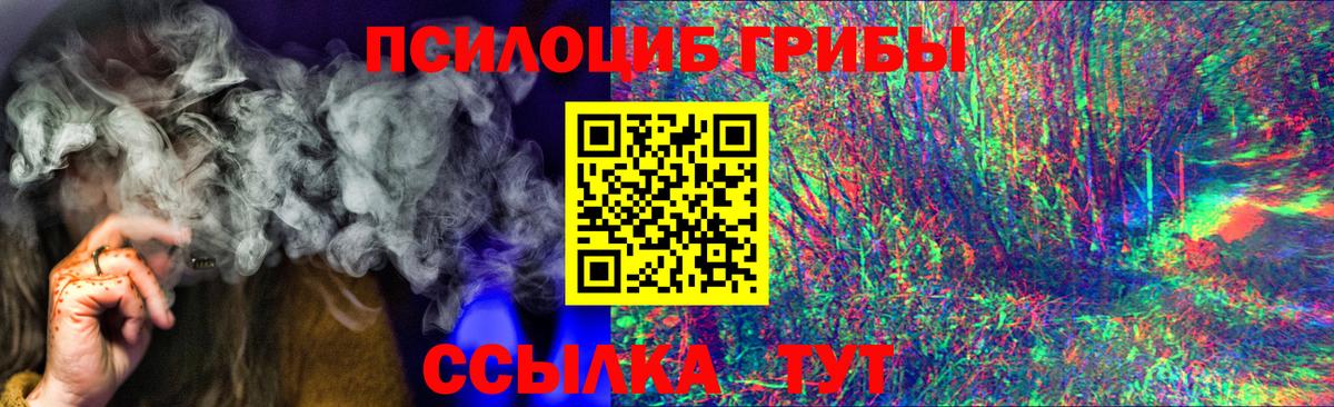 Анапа  Псилоцибиновые грибы GOLDEN TEACHER  Вход с VPN  Псилоцибиновые грибы GOLDEN TEACHER 