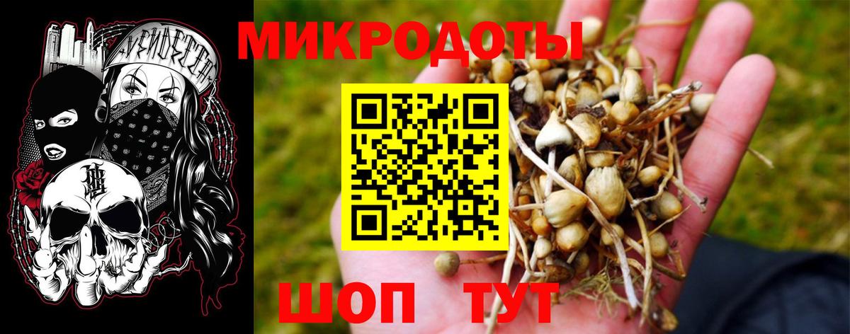 Галлюциногенные грибы мухоморы Анапа